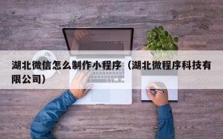 乌鲁木齐湖北微信怎么制作小程序（湖北微程序科技有限公司）